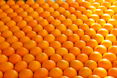 Similar image 5597111