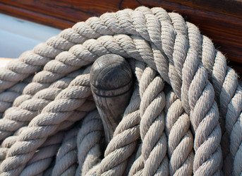 Similar image 5597155