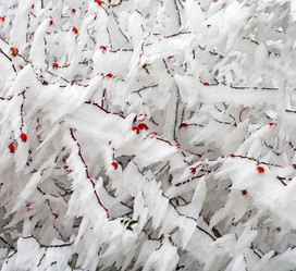 Similar image 5597160