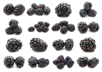 Similar image 5597174