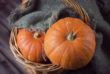 Similar image 5597200