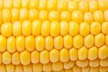 Similar image 5597215