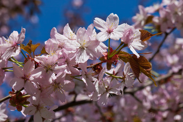 Similar image 5597224