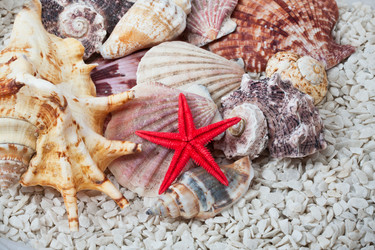 Similar image 5597227