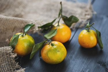 Similar image 5597236