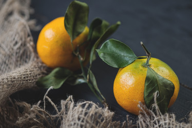 Similar image 5597237