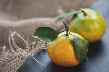 Similar image 5597238