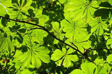 Similar image 5597254