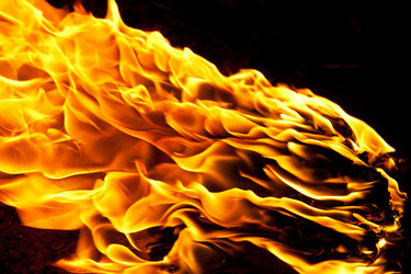 Similar image 5597270