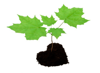 Similar image 5597279