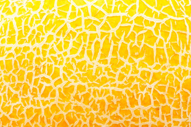 Similar image 5597280