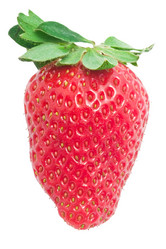 Similar image 5597292