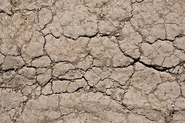 Similar image 5597306