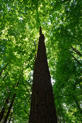 Similar image 5597307