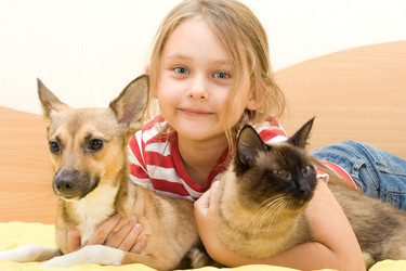 Similar image 5597318