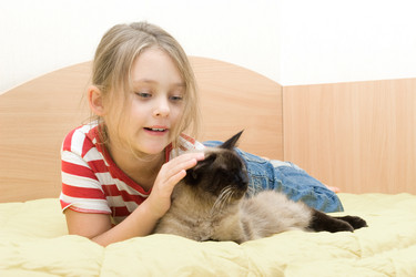 Similar image 5597326