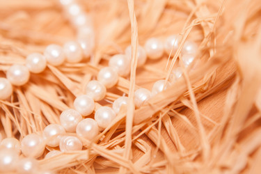 Similar image 5597364