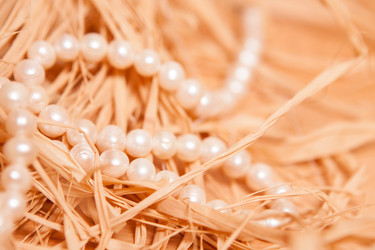 Similar image 5597365