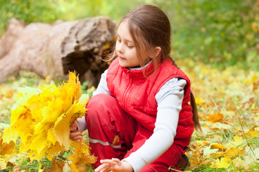 Similar image 5597398