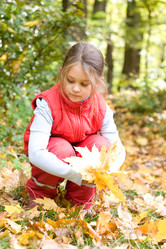 Similar image 5597399