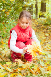 Similar image 5597400