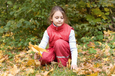 Similar image 5597408