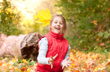 Similar image 5597409