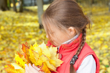 Similar image 5597436