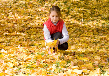 Similar image 5597445