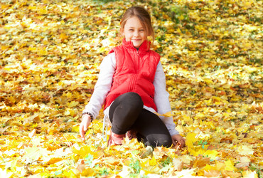 Similar image 5597446