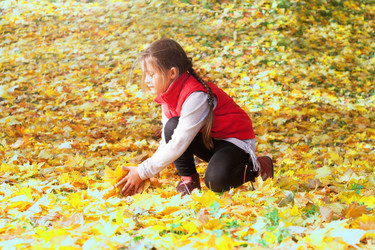 Similar image 5597447