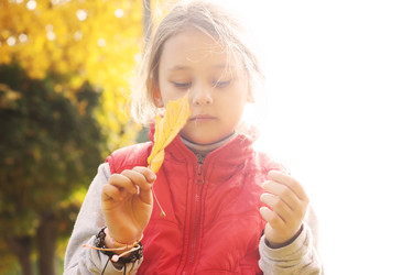 Similar image 5597448