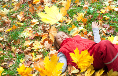 Similar image 5597449