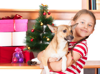 Similar image 5597462