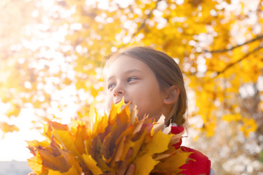 Similar image 5597471