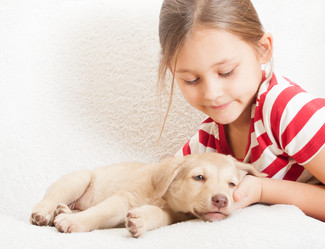 Similar image 5597492