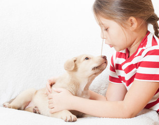 Similar image 5597494