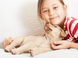 Similar image 5597499