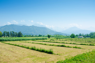 Similar image 5597550