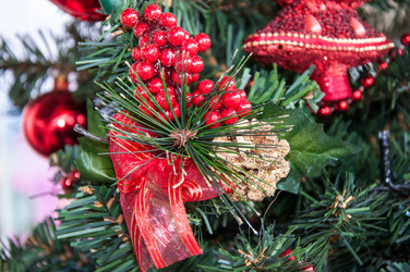 Similar image 5597635