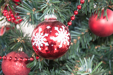 Similar image 5597636