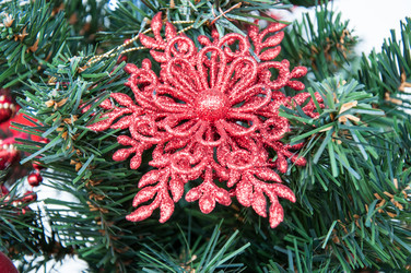 Similar image 5597637