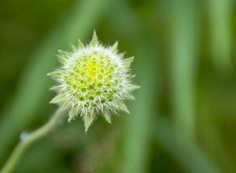 Similar image 5597791