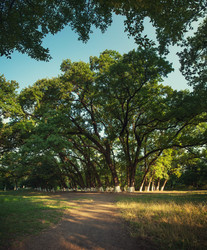 Similar image 5598009