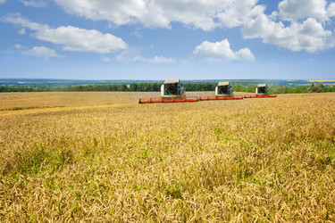 Similar image 5598082