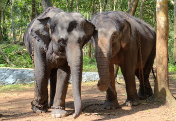 Similar image 5598083