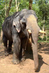 Similar image 5598084