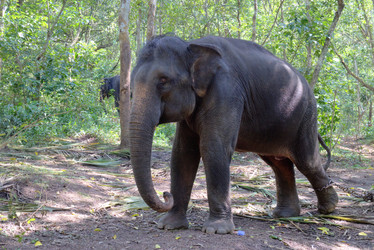 Similar image 5598086