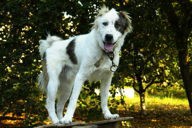 Similar image 5598091