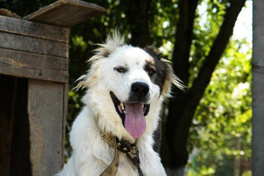 Similar image 5598092